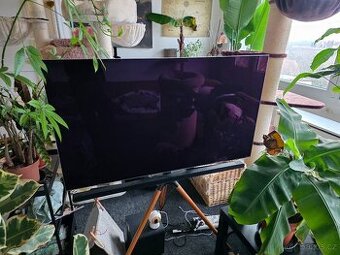 OLED TV Samsung QE55S95B + SAMSUNG HW-S800B