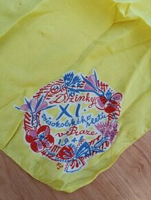 Všesokolský slet 1948