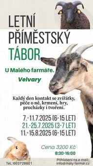 Příměstský tábor u zvířat