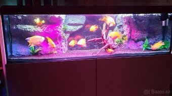 Akvarium