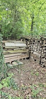Dřevo za odvoz + 1.000 Kč - Brno