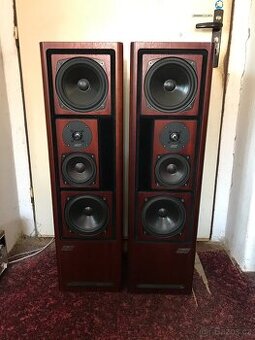 ASW Cantius ml V