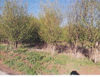 stavební pozemek 2.000m2, Morašice, ID 7557e 1208