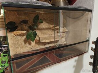 Terarium