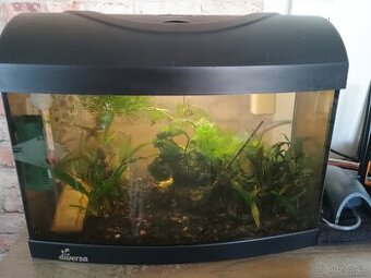 Akvárium Diversa (27l)