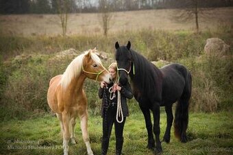 Pronájem hafling a frís