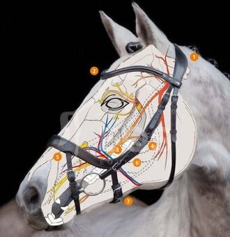 Uzdečka Schockemöhle Equitus Alpha Special anatomická - 1