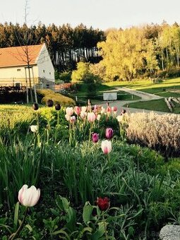 ošetřovatelka / stájník