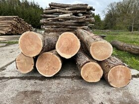 Modřín - ideální na dřevosochání