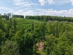 Prodej lesní pozemek, 7 184 m², Koryčany, Kroměříž