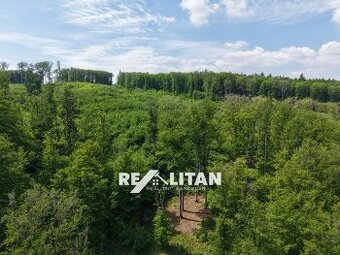Prodej lesní pozemek, 7 184 m², Koryčany, Kroměříž