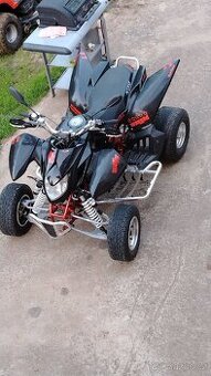 Access warrior 450
