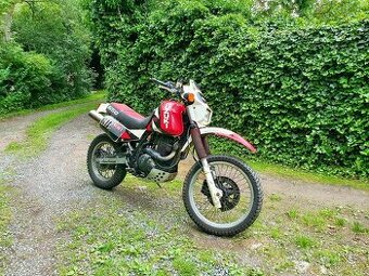 Suzuki DR 650 Djebel 1990