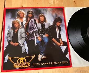 Lp - Aerosmith - Dude ( Looks like a lady)