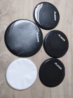 Blány Alesis - 1