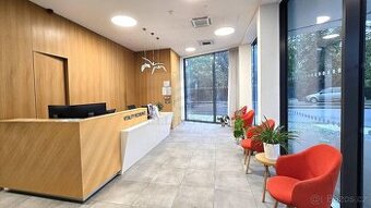 Krásný 2+kk, 84m2, Praha 5