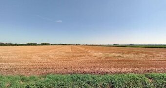 Zemědělská půda, prodej, Oplocany, Přerov - 1