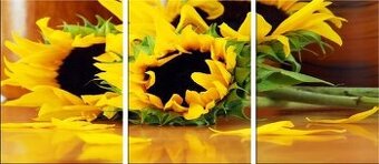 Slunečnice, 3dílný obraz na plátně, tištěný, 180x80cm