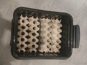 Bedna na kolonii - chov švábů (Box na šváby)