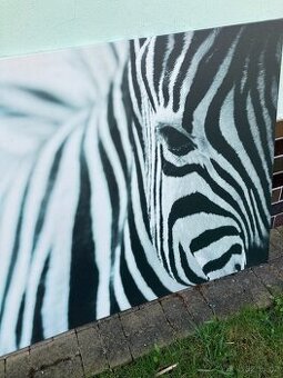 Obraz zebra IKEA
