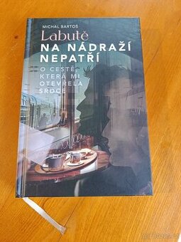 Labutě na nádraží nepatří