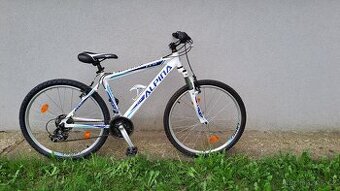Horské kolo ALPINA ECO M10, vel.26 rám 17,5