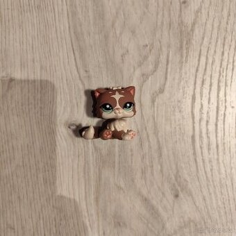 LPS perská kočička