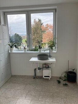 Pronájem kanceláře 10m2 s umyvadlem