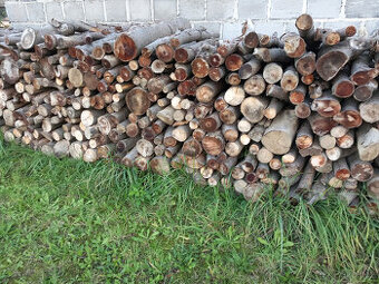 Prodám palivové dřevo