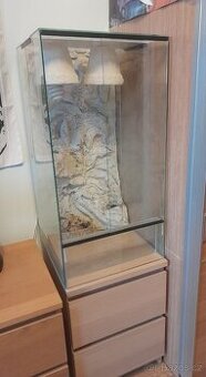 Terárium pro chameleona