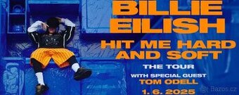BILLIE EILISH PRAHA 1.6.25 2KS sezení