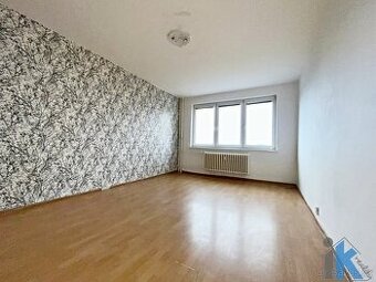 Prostorný byt 2+1 se 2 balkony