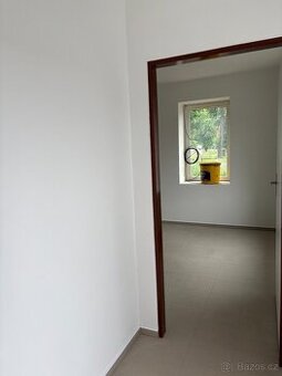 pronájem byt 2+1