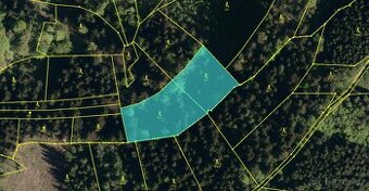 Prodám lesní pozemky v k. ú. Valašská Polanka Valašská Polan