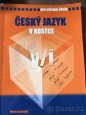 Česky jazyk v kostce