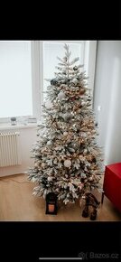Vanocni stromek 210cm, smrk kralovsky zasnezeny