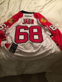 Florida Panthers Jagr jersey