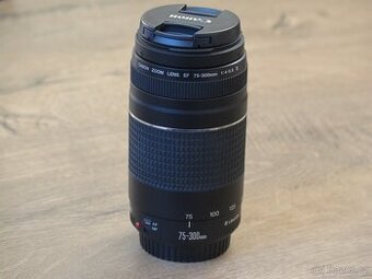 Canon EF 75-300 mm f/4,0-5,6 DC III