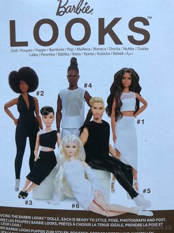 Panenka - Barbie Looks, Basic a Fashionistas