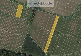 Prodej louky v k.ú. Žiželice nad Cidlinou a Kolesa