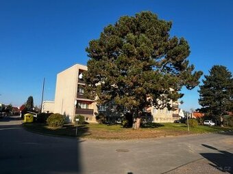 Prodej bytu 3+1 v osobním vlastnictví 83m3