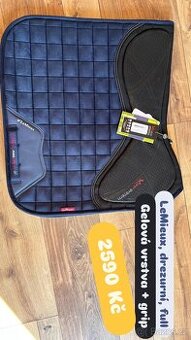 Spousta nových věcí na koně