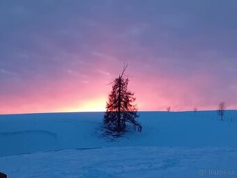 Pastevní ustájení