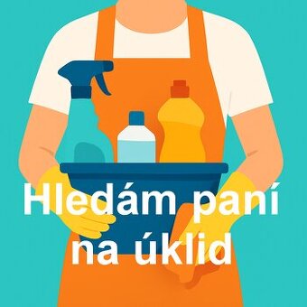 Hledám paní na pravidelný úklid rodinného domu