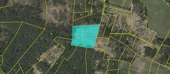 Prodej lesa Milejovice 11506m2