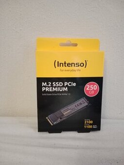 Intenso M.2 NVMe SSD 250GB