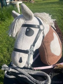hobby horse