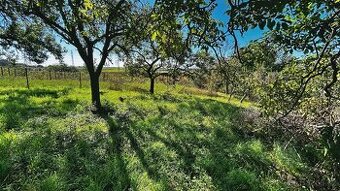 Zahrada u Kyjova o rozloze 1046 m2