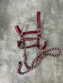 Prodám více věcí pro koně i jezdce