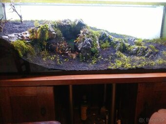 ADA  Amazonia substrát